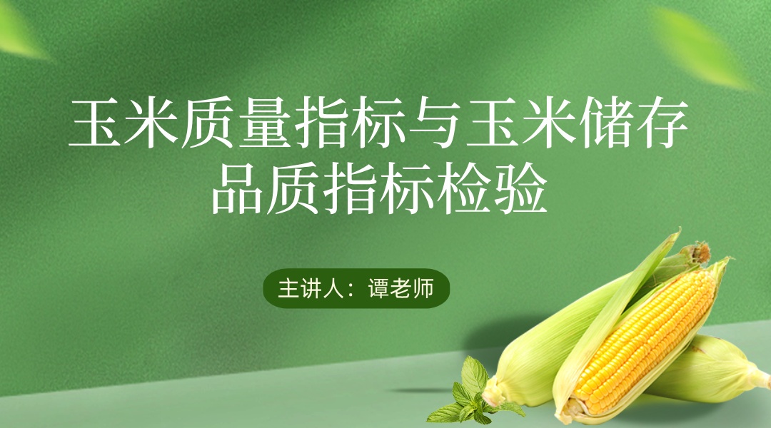 玉米质量指标与玉米储存品质指标检验